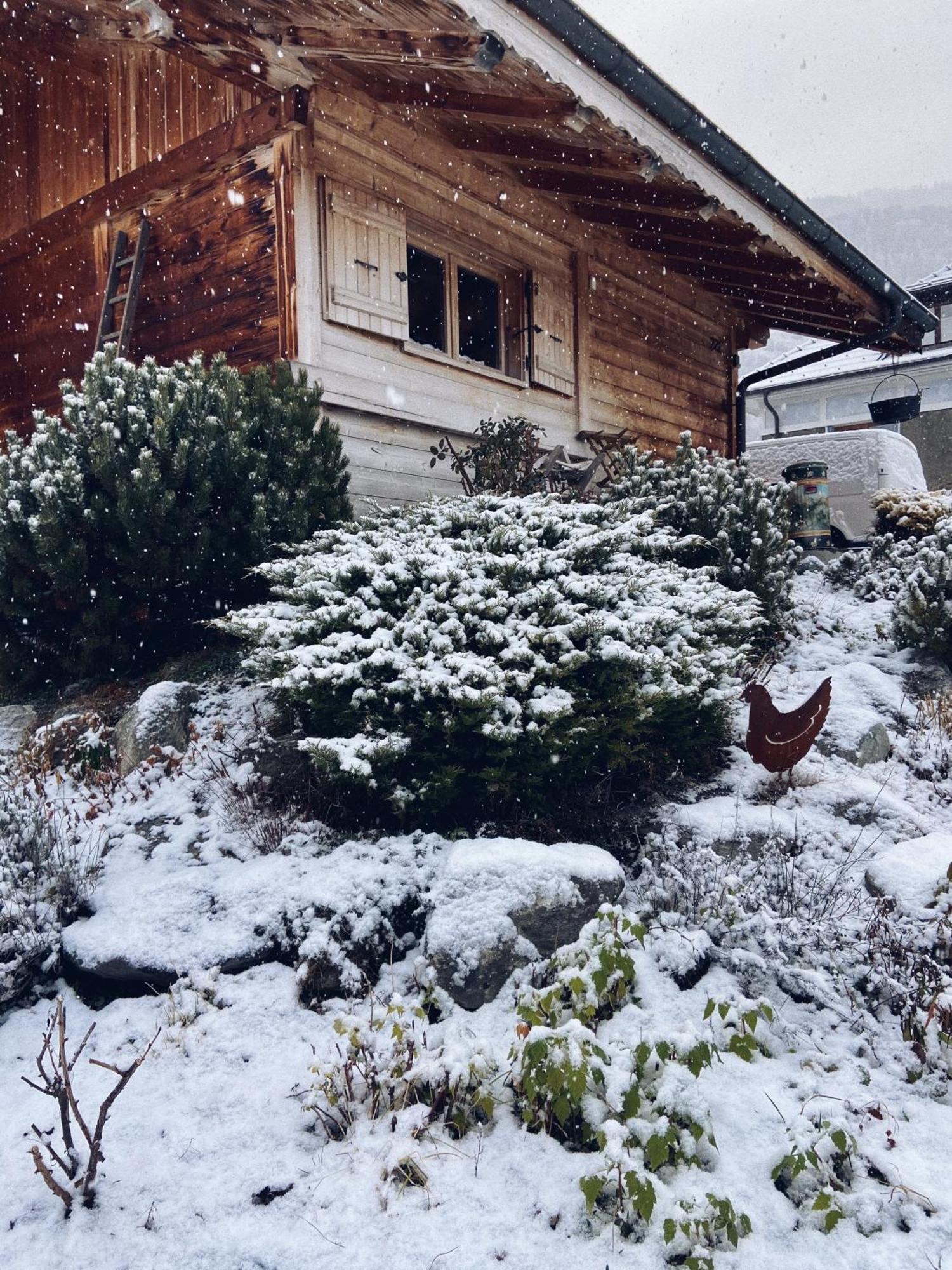 Villa Grand Chalet A La Montagne Bourg-Saint-Maurice Exterior foto